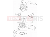 KTM 500 EXC-F (F8503T9) [EU] 2020 CYLINDER HEAD