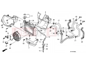 HONDA SH150 (SH150A) 2010 F-27 RADIATOR