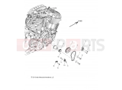 INDIAN SPRINGFIELD ALL OPTIONS (R07) (N19THAAA) ENGINE » ENGINE, CAM CHAIN and SPROCKETS - ALL OPTIONS (49INDIANCAM141)