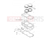 Polaris 2019 RZR RZR 1000 60 INCH EU/TRACTOR/ZUG (R01) - Z19VBE99F2/S99C2/CM ENGINE | ENGINE, CYLINDER AND PISTON - Z19VBE99F2/S99C2/CM (49RGRCYLINDER14RZR1000)
