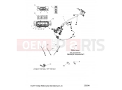 INDIAN 2018 SPRINGFIELD ALL OPTIONS (R04) (N18THAAA) ELECTRICAL | ELECTRICAL, WIRE HARNESS - N18THAAA ALL OPTIONS (200248)