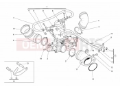 DUCATI Monster S2R 800 THROTTLE BODY » INTAKE, CARBURETTOR
