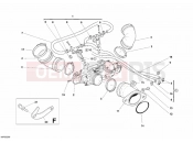 DUCATI Monster S2R 800 DARK THROTTLE BODY » INTAKE, CARBURETTOR