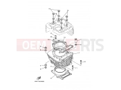 YAMAHA YFM 600 Grizzly YFM600FWA 5GTG 2001 CYLINDER