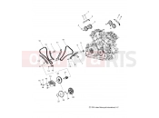 INDIAN SCOUT - N15MSA00AA/AB/AC/AE ENGINE » ENGINE, CAM CHAIN and SPROCKETS - (49INDIANCAM15SCOUT)