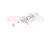 Polaris 2015 RANGER RANGER HST - R151DPD1AA/2D ENGINE | ENGINE, CRANKSHAFT - R151DPD1AA/2D (49BRUTUSCRANKSHAFT15DSL)
