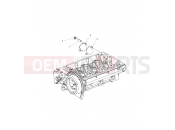 Polaris 2015 RANGER RANGER HST - R151DPD1AA/2D ENGINE | ENGINE, FUEL PUMP FITTING COVER - R151DPD1AA/2D (49BRUTUSFUELCVR15DSL)