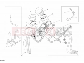 DUCATI 2006 Monster S4RS THROTTLE BODY » INTAKE, CARBURETTOR