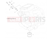 Polaris 2013 ATV SPORTSMAN TOURING 550 EPS - A13DN5EAF/EAR ENGINE | ENGINE, OIL FILTER - A13DN5EAF/EAR (49ATVOILFILTER09SPXP550)