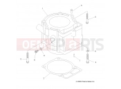 Polaris 2011 ATV OUTLAW 525 IRS (A11GP52AA) ENGINE | ENGINE, CYLINDER - A11GP52AA (49ATVCYLINDER07OUT525)