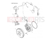 Polaris 2007 ATV TRAIL BOSS 330 (A07CA32AA) ENGINE | ENGINE, MAGNETO - A07CA32AA (4999202939920293C13)