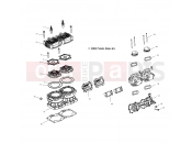 POLARIS OCTANE (W045402DA) CYLINDER and MANIFOLD