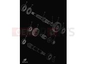 YAMAHA Majesty 125 YP 125 YP125E MAJESTY 125 (5DSM) 2000 TRANSMISSION