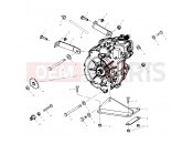 POLARIS TRAIL BOSS 330 (A03CA32AA) GEARCASE MOUNTING