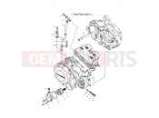 POLARIS PREDATOR - A03GJ50AA/AB OIL FILTER