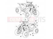POLARIS SCRAMBLER 50 (A02EA05CA) DECALS - A02EA05CA (4970817081C04) | DECALS - A02EA05CA (4970817081C04)