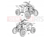 POLARIS TRAIL BLAZER (A01BA25CA) DECALS - A01BA25CA (4963666366A009) | DECALS - A01BA25CA (4963666366A009)