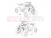 POLARIS SCRAMBLER 50 (A01EA05CA) DECALS - A01EA05CA (4964266426C004) | DECALS - A01EA05CA (4964266426C004)