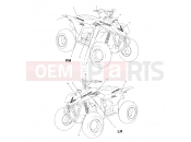 POLARIS SCRAMBLER 2X4 (A00BA38CA) DECALS