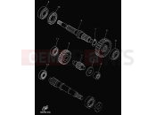 YAMAHA Majesty 125 YP 125 YP125E MAJESTY 125 (5DSC) 2000 TRANSMISSION