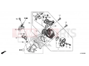 HONDA SH150ADH 2017 E-22 THROTTLE BODY/FUEL INJECTOR