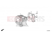 HONDA NSC110MPDK NSC110MPD 2019 E-6 CYLINDER
