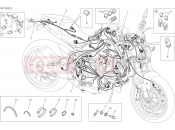 DUCATI Monster 821 WIRING HARNESS [MOD:M 821]