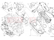 DUCATI Monster 821 THROTTLE BODY [MOD:M 821;XST:AUS,EUR,FRA,JAP]