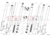 DUCATI Monster 821 Stripe FRONT FORK [MOD:M821 STR;XST:AUS,EUR,FRA,JAP]