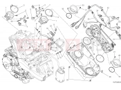 DUCATI Monster 821 THROTTLE BODY [MOD:M 821;XST:CHN]