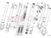 DUCATI Superbike 1299 Panigale FRONT FORK [MOD:1299;XST:AUS,EUR,FRA,JAP,TWN]