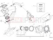 DUCATI Monster 821 Stripe CYLINDERS - PISTONS [MOD:M821 STR]