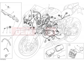 DUCATI 2017 Superbike 959 Panigale WIRING HARNESS [MOD:959,959 AWS]