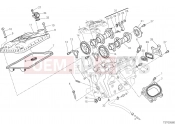 DUCATI 2017 Superbike 959 Panigale VERTICAL CYLINDER HEAD - TIMING [MOD:959,959 AWS]