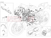 DUCATI Superbike Panigale R WIRING HARNESS [MOD:1199 R]