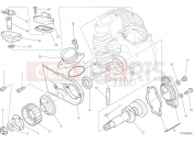 DUCATI Monster 797 TESTA ORIZZONTALE - DISTRIBUZIONE [MOD:M 797]