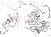 DUCATI 2018 Superbike 959 Panigale CANISTER FILTER [MOD:1299R FE]