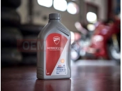DUCATI SuperSport SHELL ADVANCE