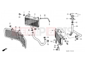 HONDA GL1500SEX E / MKH (GL1500SEX) 1999 F-35 RADIATOR