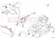 DUCATI Hypermotard 950 COOLING CIRCUIT [MOD:HYM 950]