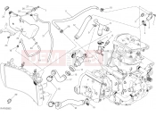 DUCATI 2019 Monster 1200 25th Anniversario COOLING SYSTEM [MOD:M1200S25]