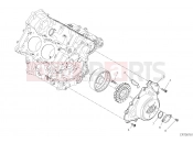 DUCATI Superbike Panigale V4 S Course  GENERATOR COVER [MOD:PANV4SGP]