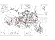 DUCATI Monster 821 WIRING HARNESS [MOD:M 821]