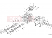 DUCATI Multistrada 950  HORIZONTAL HEAD – TIMING SYSTEM [MOD:MS950]