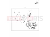 KAWASAKI 2020 Throttle