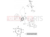 HUSQVARNA 2020 Street 701 Enduro LR (F2603T2) [EU] IGNITION SYSTEM|Engine|39