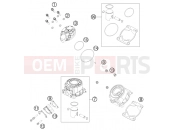 HUSQVARNA 2020 Offroad TC 50 (F2001T4) [EU] CYLINDER, CYLINDER HEAD|Engine|30