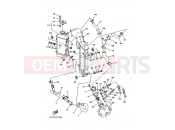 YAMAHA DT 230 DT230 DT230L 4TP3 1999 RADIATOR & HOSE
