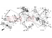 HONDA FJS400D6 ED SILVER WING 400 2006 E-6 WATER PUMP