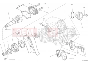 DUCATI Scrambler Cafe Racer VERTICAL CYLINDER HEAD - TIMING [MOD:SCR800CR]